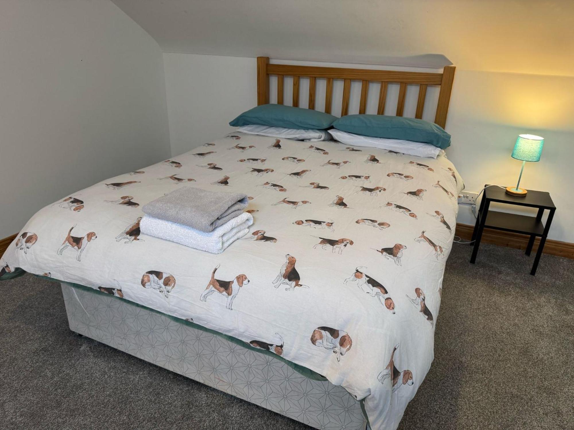 Lovely 2 Bedroom House Close To City Centre Belfast Exteriör bild